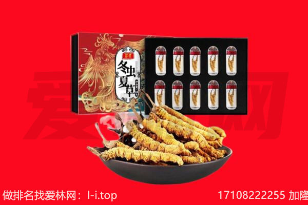 文昌回收虫草.jpg
